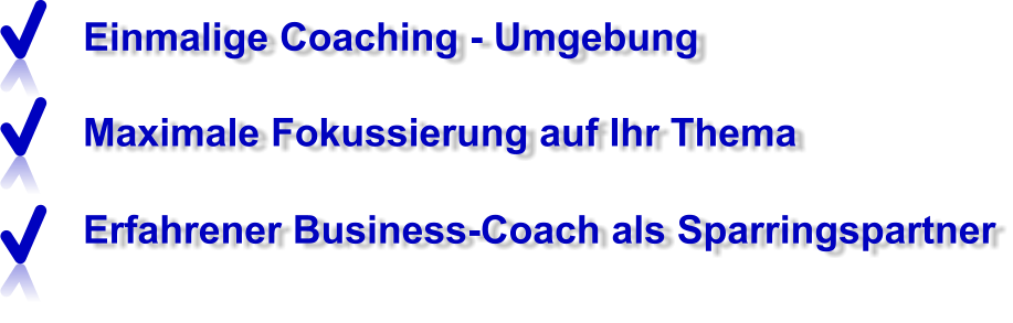 Einmalige Coaching - Umgebung Maximale Fokussierung auf Ihr Thema Erfahrener Business-Coach als Sparringspartner