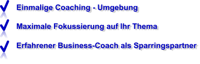 Einmalige Coaching - Umgebung Maximale Fokussierung auf Ihr Thema Erfahrener Business-Coach als Sparringspartner